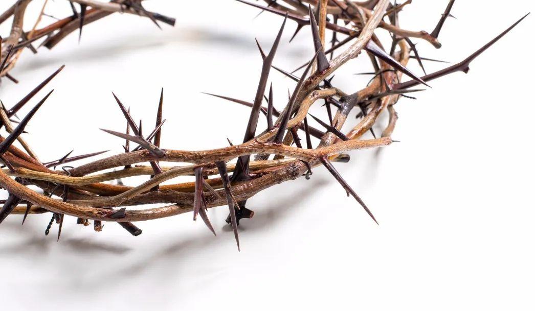 苦杯祂饮，祝福我享！