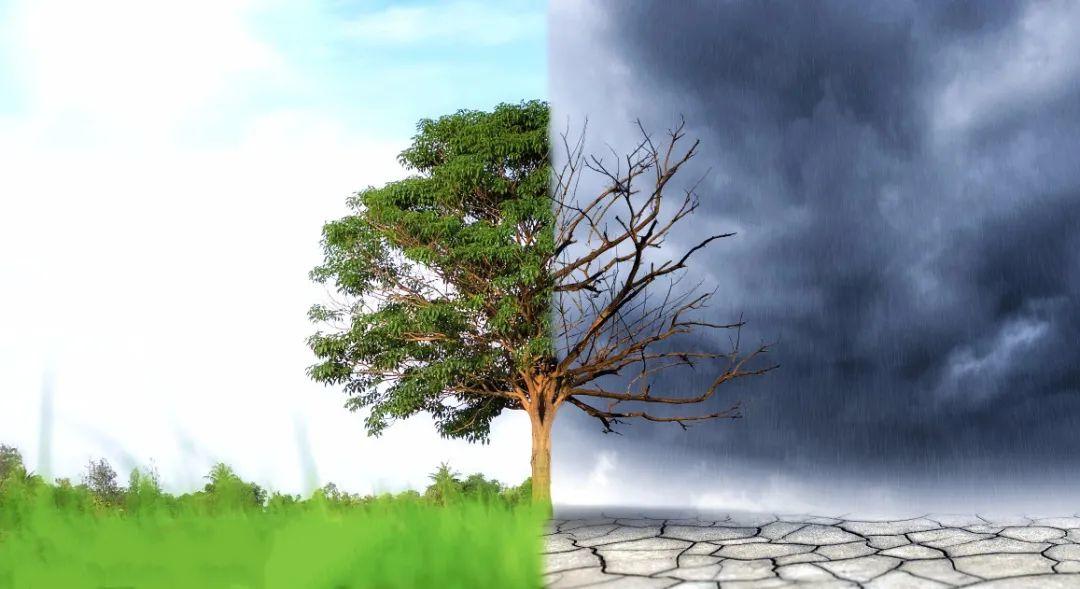 坚持到底，必然得救！  第7张