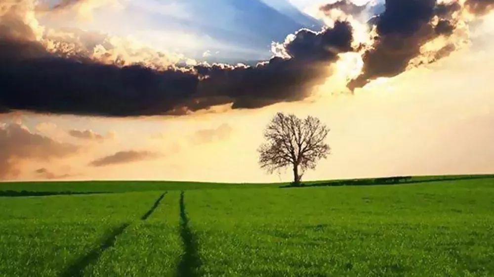 中国教会是到了该省思的时候了! 第11张 中国教会是到了该省思的时候了! 第11张