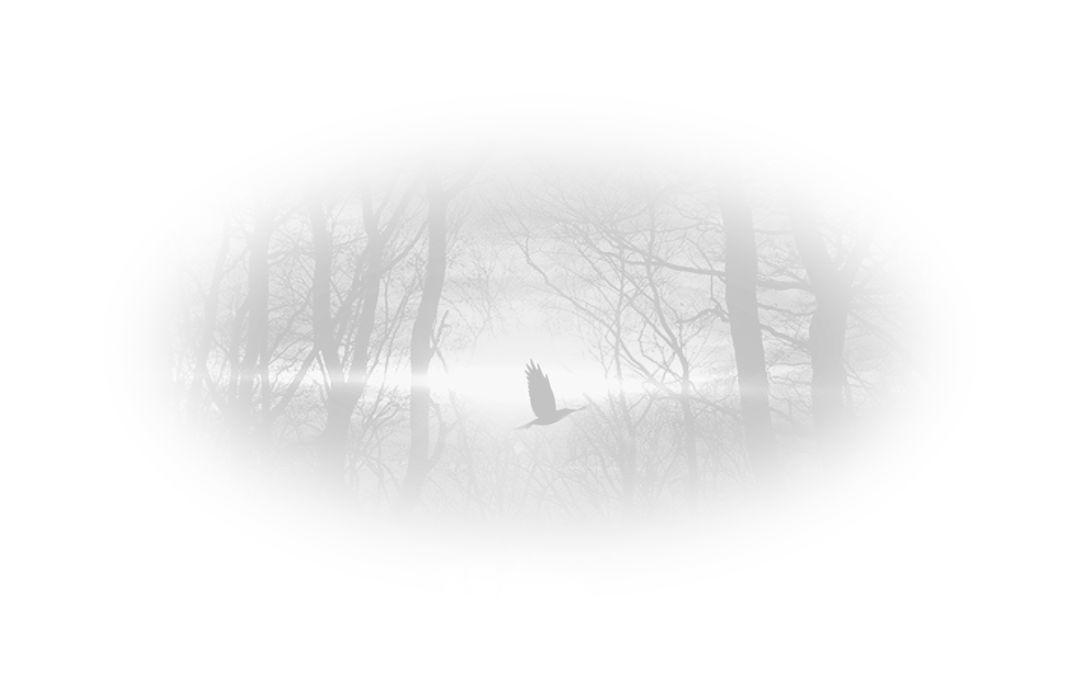 有信仰的人生不一样！[修订版]  第30张