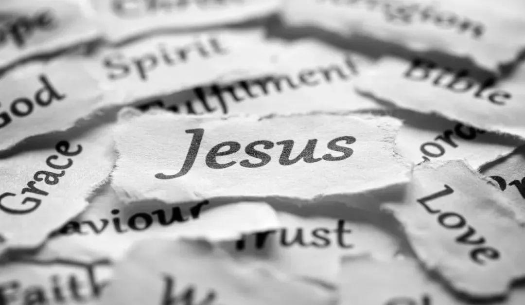 他那无言的爱，你究竟懂几分？  第3张