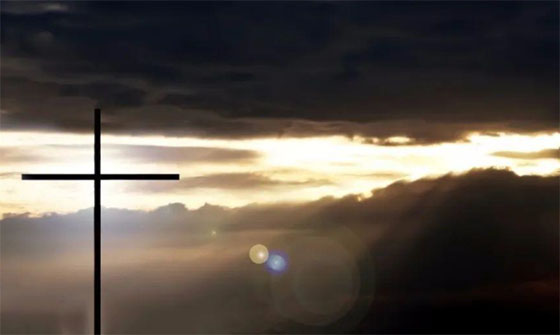 扪心自问：我们的爱在哪儿？*  第5张