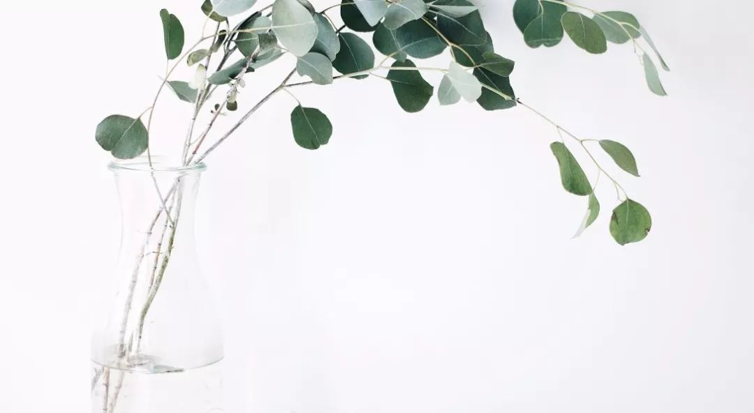 情愿……  第1张