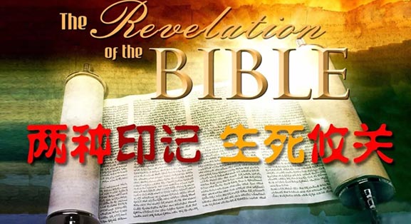 两种印记,生死攸关! 第1张 两种印记,生死攸关! 第1张