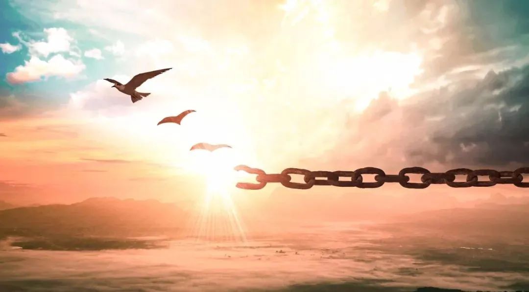 在末时,做一个“不正常”的人! 第12张 在末时,做一个“不正常”的人! 第12张